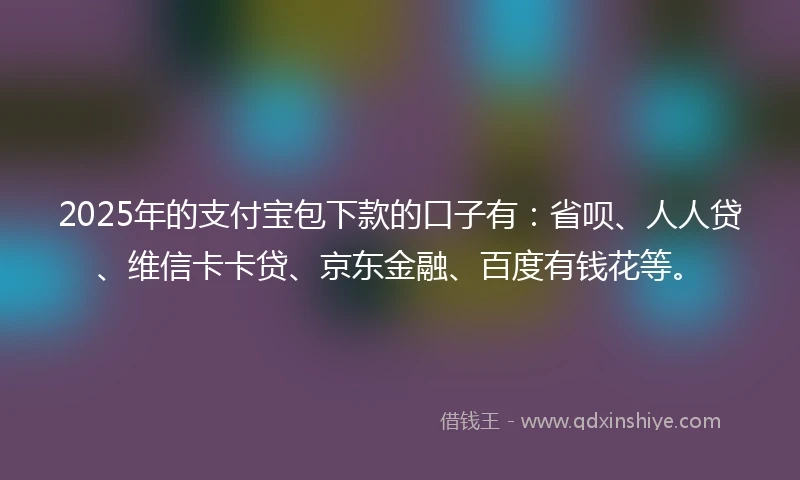2025年的支付宝包下款的口子有：省呗、人人贷、维信卡卡贷、京东金融、百度有钱花等。