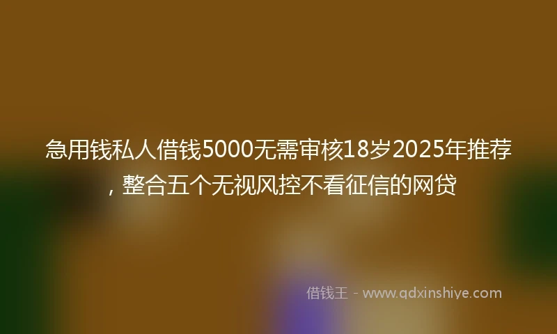 急用钱私人借钱5000无需审核18岁2025年推荐，整合五个无视风控不看征信的网贷