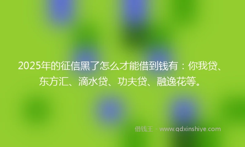 2025年的征信黑了怎么才能借到钱有：你我贷、东方汇、滴水贷、功夫贷、融逸花等。