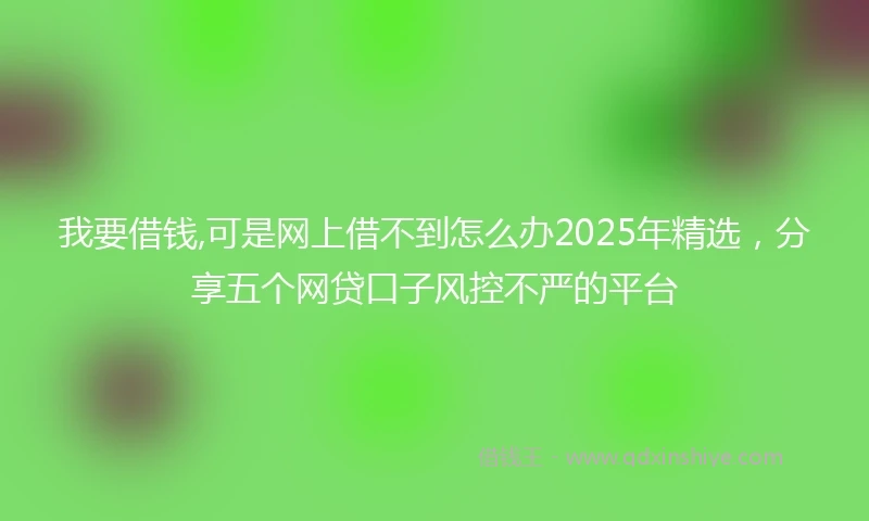 我要借钱,可是网上借不到怎么办2025年精选，分享五个网贷口子风控不严的平台