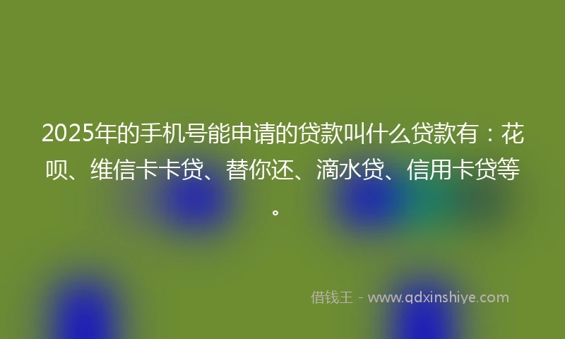 2025年的手机号能申请的贷款叫什么贷款有：花呗、维信卡卡贷、替你还、滴水贷、信用卡贷等。