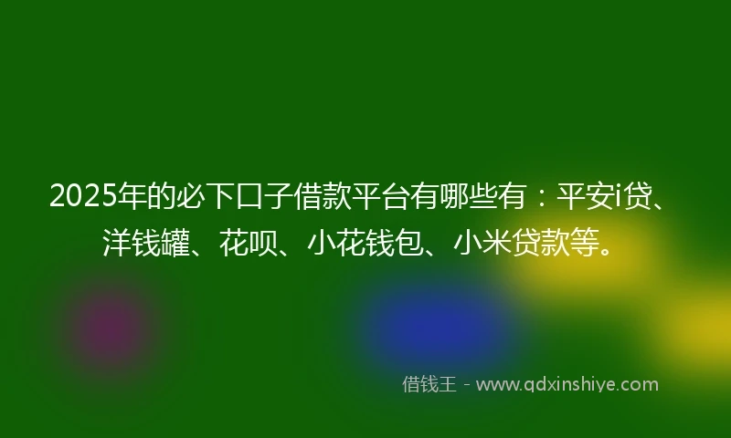 2025年的必下口子借款平台有哪些有：平安i贷、洋钱罐、花呗、小花钱包、小米贷款等。