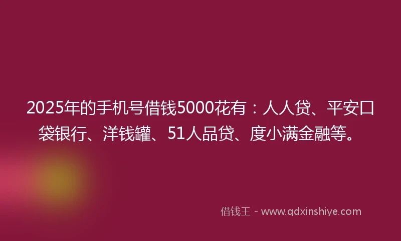 2025年的手机号借钱5000花有：人人贷、平安口袋银行、洋钱罐、51人品贷、度小满金融等。