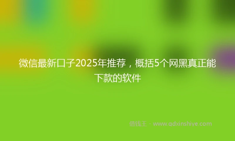 微信最新口子2025年推荐，概括5个网黑真正能下款的软件