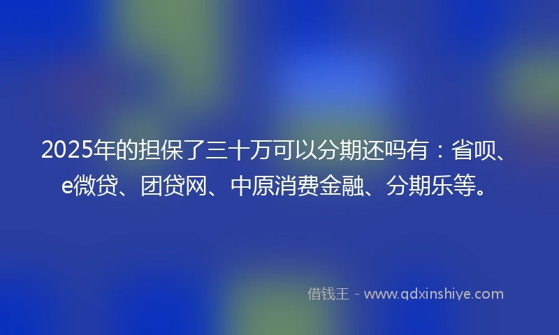 2025年的担保了三十万可以分期还吗有：省呗、e微贷、团贷网、中原消费金融、分期乐等。