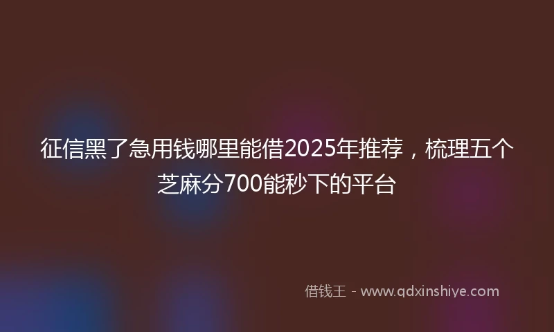 征信黑了急用钱哪里能借2025年推荐，梳理五个芝麻分700能秒下的平台