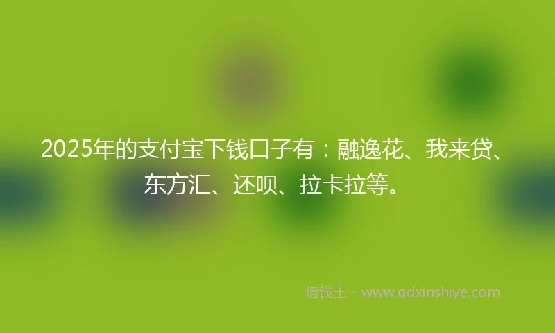 2025年的支付宝下钱口子有：融逸花、我来贷、东方汇、还呗、拉卡拉等。