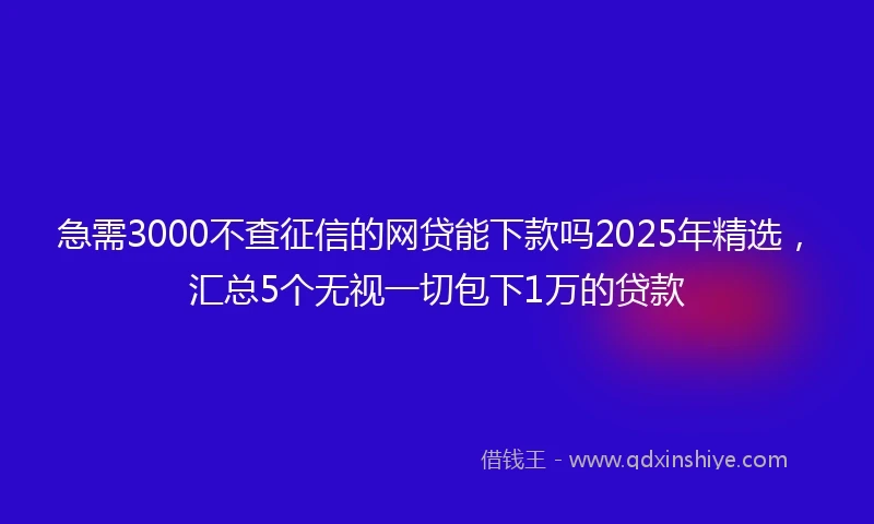 急需3000不查征信的网贷能下款吗2025年精选，汇总5个无视一切包下1万的贷款