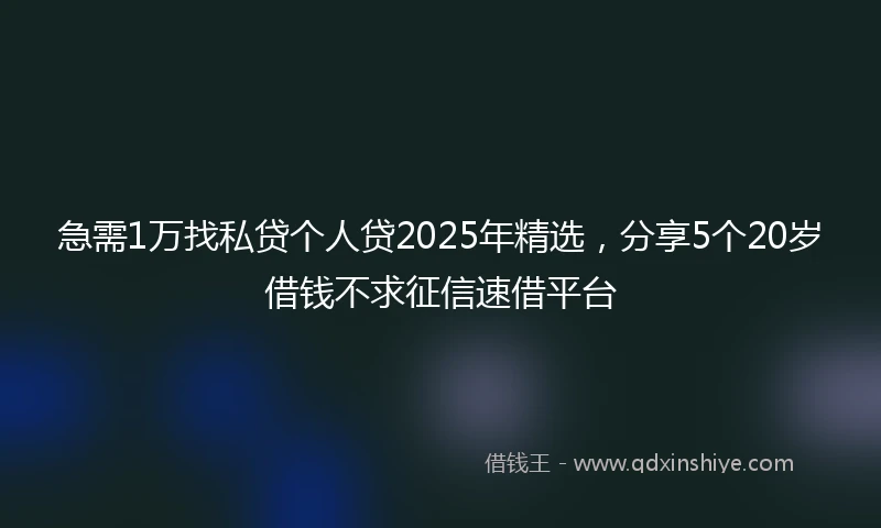 急需1万找私贷个人贷2025年精选,分享5个20岁借钱不求征信速借平台