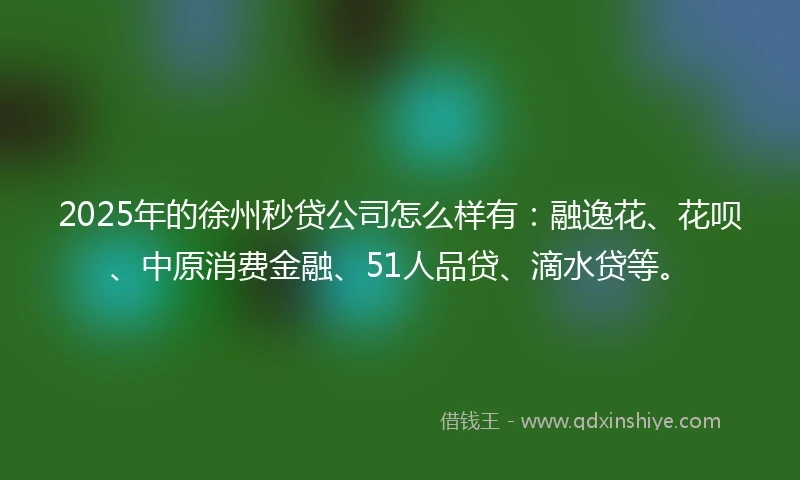 2025年的徐州秒贷公司怎么样有：融逸花、花呗、中原消费金融、51人品贷、滴水贷等。