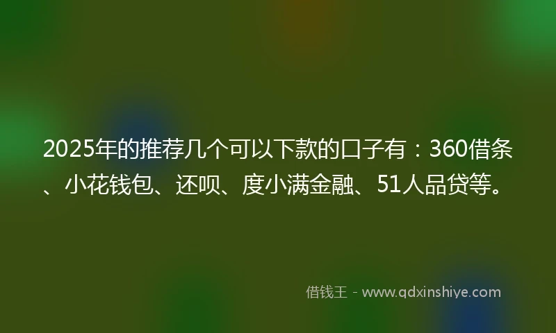 2025年的推荐几个可以下款的口子有：360借条、小花钱包、还呗、度小满金融、51人品贷等。