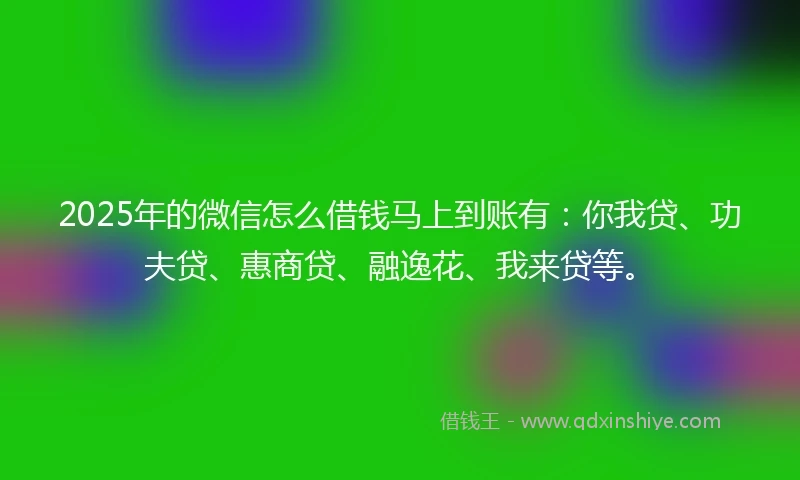 2025年的微信怎么借钱马上到账有：你我贷、功夫贷、惠商贷、融逸花、我来贷等。