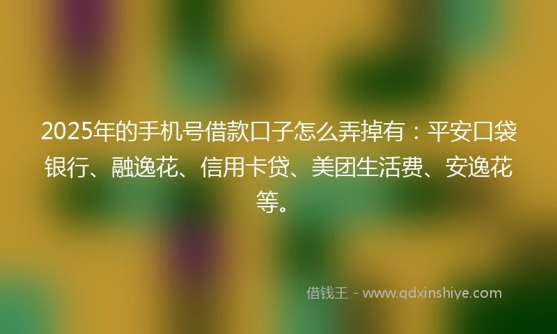 2025年的手机号借款口子怎么弄掉有：平安口袋银行、融逸花、信用卡贷、美团生活费、安逸花等。