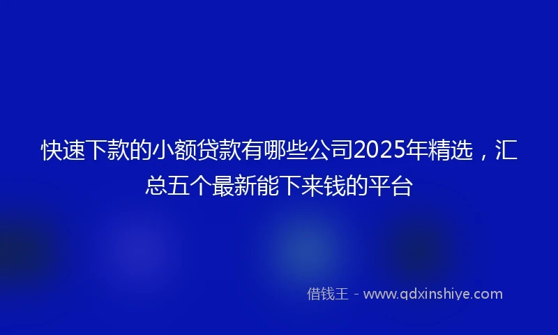 快速下款的小额贷款有哪些公司2025年精选，汇总五个最新能下来钱的平台