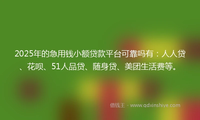 2025年的急用钱小额贷款平台可靠吗有：人人贷、花呗、51人品贷、随身贷、美团生活费等。