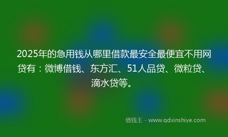 2025年的急用钱从哪里借款最安全最便宜不用网贷有：微博借钱、东方汇、51人品贷、微粒贷、滴水贷等。