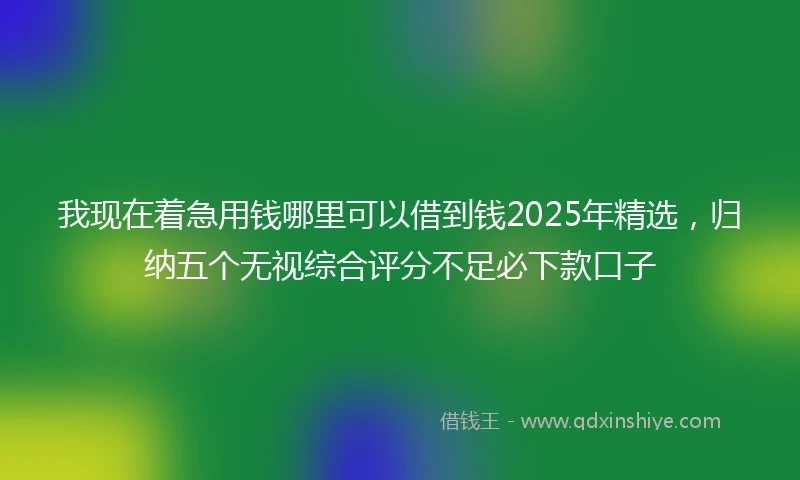我现在着急用钱哪里可以借到钱2025年精选，归纳五个无视综合评分不足必下款口子