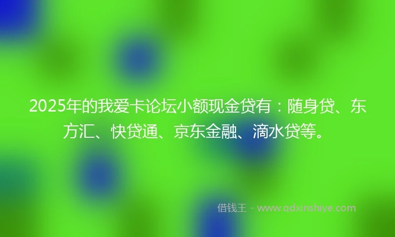 2025年的我爱卡论坛小额现金贷有：随身贷、东方汇、快贷通、京东金融、滴水贷等。