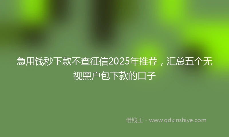 急用钱秒下款不查征信2025年推荐，汇总五个无视黑户包下款的口子