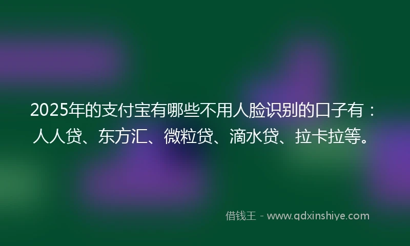 2025年的支付宝有哪些不用人脸识别的口子有：人人贷、东方汇、微粒贷、滴水贷、拉卡拉等。