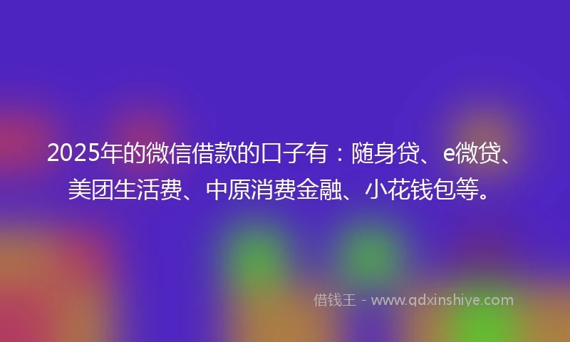2025年的微信借款的口子有:随身贷、e微贷、美团生活费、中原消费金融、小花钱包等。