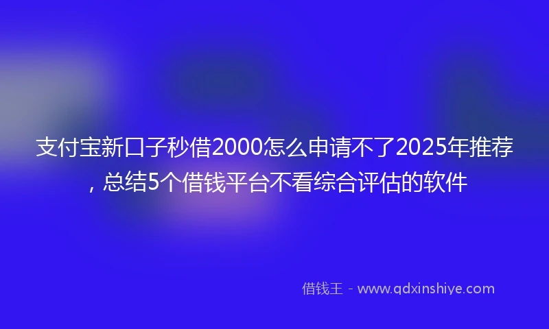 支付宝新口子秒借2000怎么申请不了2025年推荐，总结5个借钱平台不看综合评估的软件