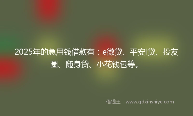 2025年的急用钱借款有：e微贷、平安i贷、投友圈、随身贷、小花钱包等。