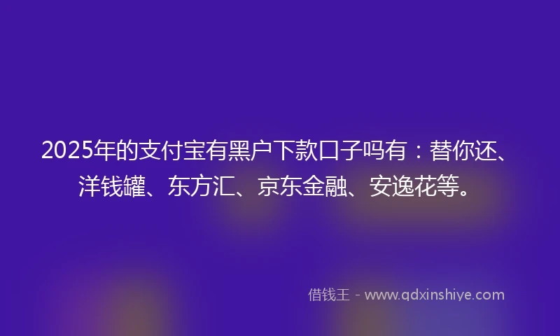 2025年的支付宝有黑户下款口子吗有：替你还、洋钱罐、东方汇、京东金融、安逸花等。