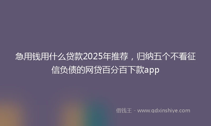 急用钱用什么贷款2025年推荐，归纳五个不看征信负债的网贷百分百下款app