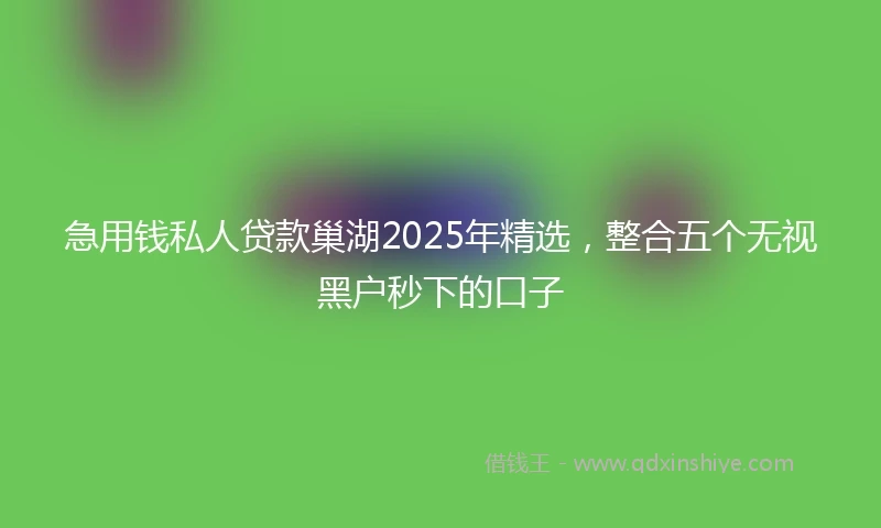 急用钱私人贷款巢湖2025年精选，整合五个无视黑户秒下的口子