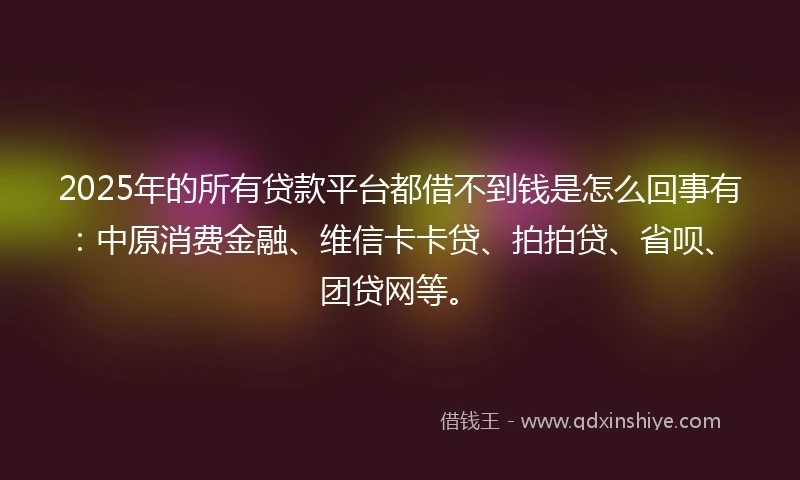 2025年的所有贷款平台都借不到钱是怎么回事有：中原消费金融、维信卡卡贷、拍拍贷、省呗、团贷网等。
