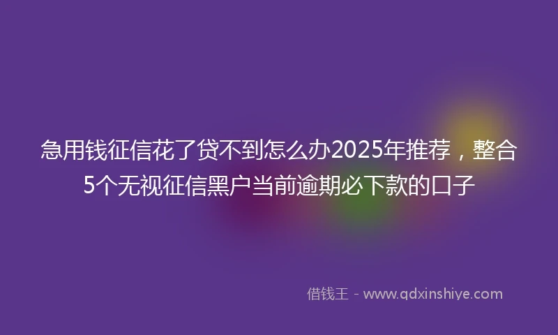 急用钱征信花了贷不到怎么办2025年推荐，整合5个无视征信黑户当前逾期必下款的口子