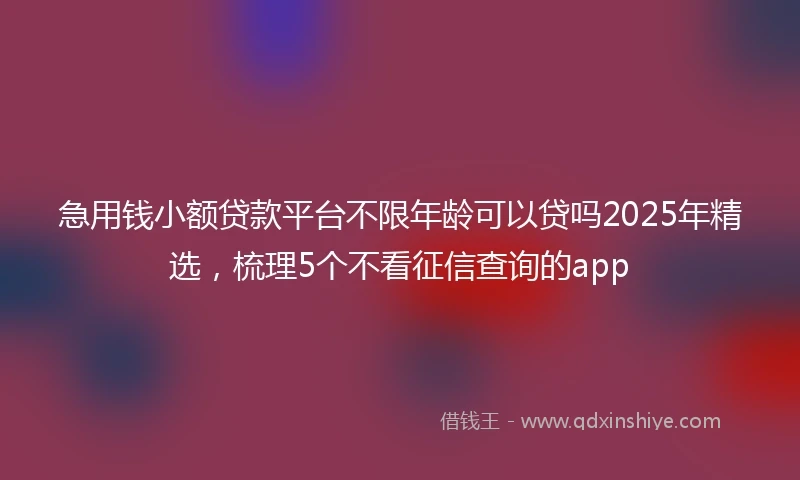 急用钱小额贷款平台不限年龄可以贷吗2025年精选，梳理5个不看征信查询的app