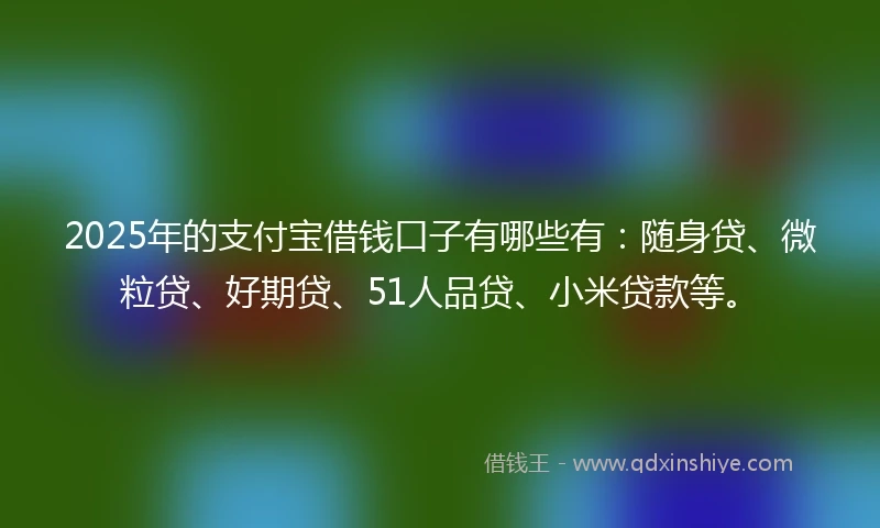 2025年的支付宝借钱口子有哪些有：随身贷、微粒贷、好期贷、51人品贷、小米贷款等。