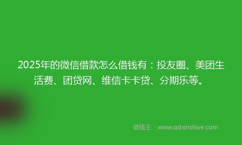 2025年的微信借款怎么借钱有：投友圈、美团生活费、团贷网、维信卡卡贷、分期乐等。