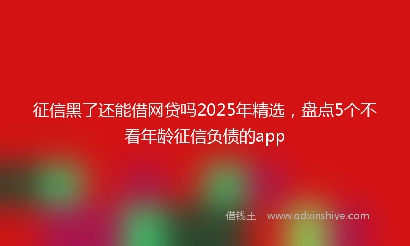 征信黑了还能借网贷吗2025年精选，盘点5个不看年龄征信负债的app