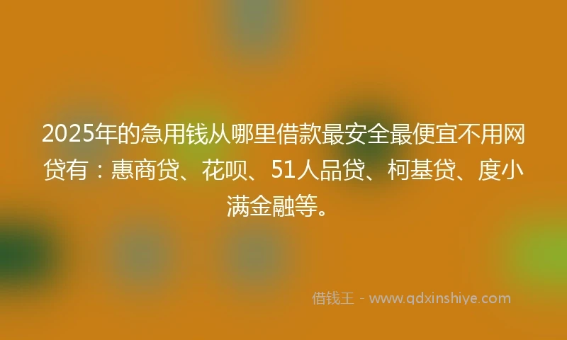 2025年的急用钱从哪里借款最安全最便宜不用网贷有：惠商贷、花呗、51人品贷、柯基贷、度小满金融等。