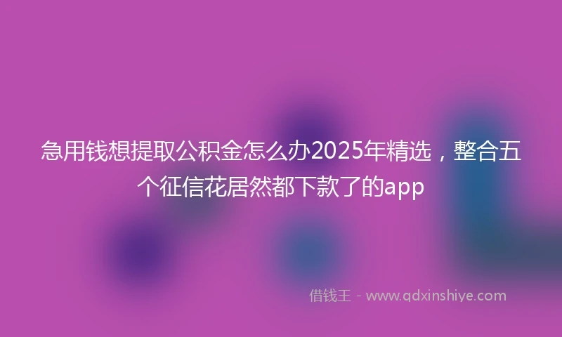 急用钱想提取公积金怎么办2025年精选，整合五个征信花居然都下款了的app