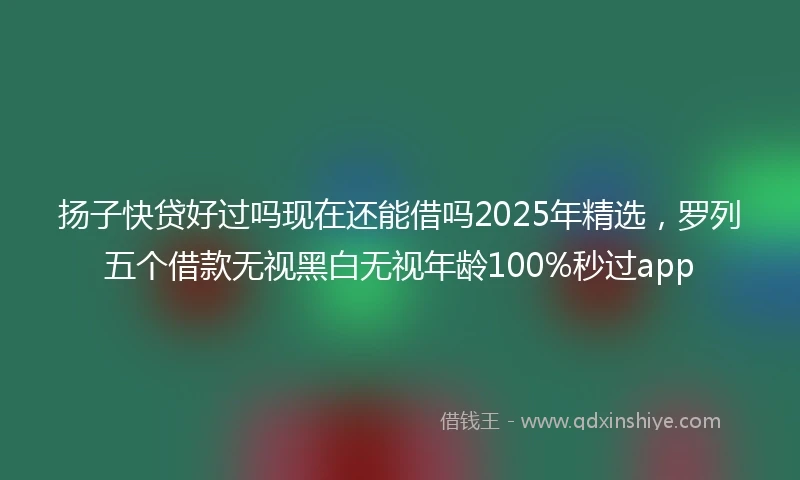扬子快贷好过吗现在还能借吗2025年精选，罗列五个借款无视黑白无视年龄100%秒过app