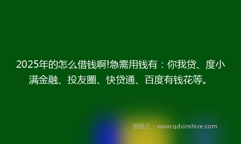 2025年的怎么借钱啊!急需用钱有：你我贷、度小满金融、投友圈、快贷通、百度有钱花等。