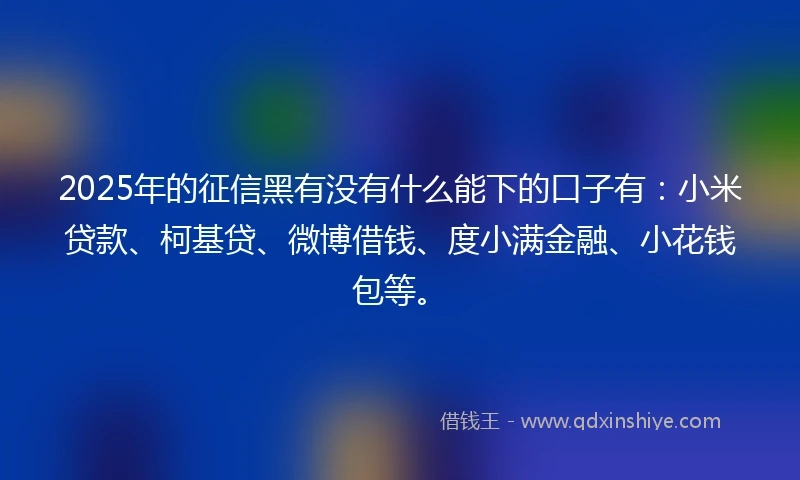 2025年的征信黑有没有什么能下的口子有：小米贷款、柯基贷、微博借钱、度小满金融、小花钱包等。