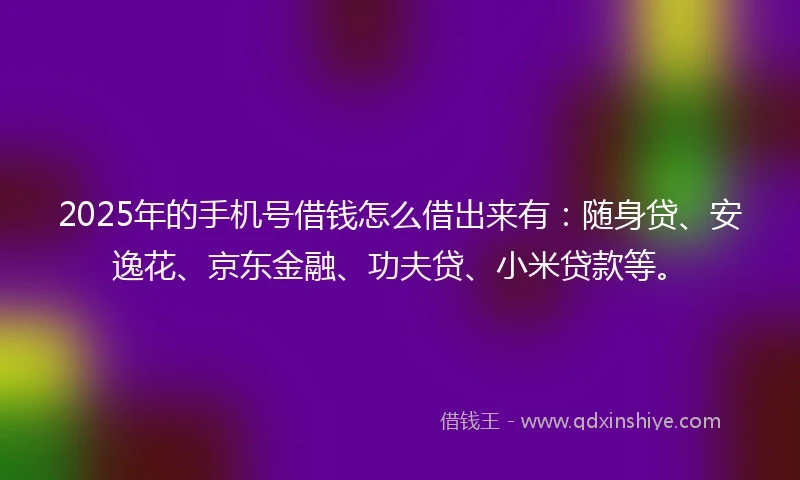 2025年的手机号借钱怎么借出来有：随身贷、安逸花、京东金融、功夫贷、小米贷款等。
