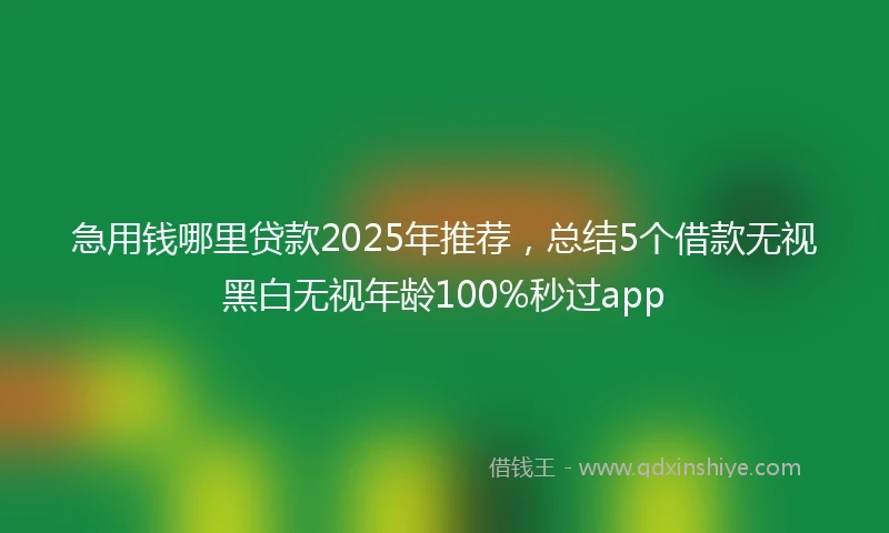 急用钱哪里贷款2025年推荐，总结5个借款无视黑白无视年龄100%秒过app