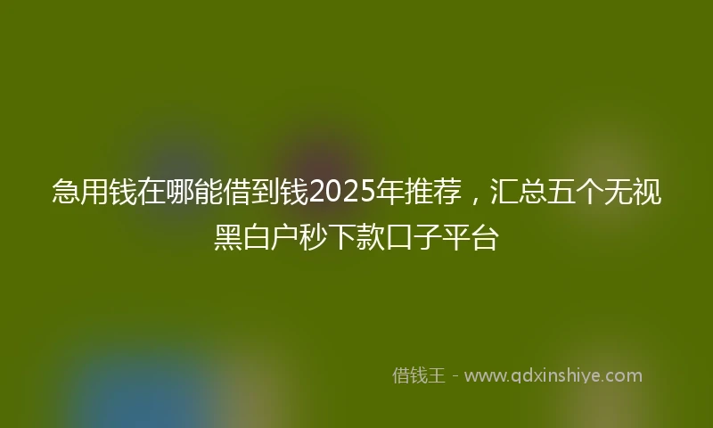 急用钱在哪能借到钱2025年推荐，汇总五个无视黑白户秒下款口子平台