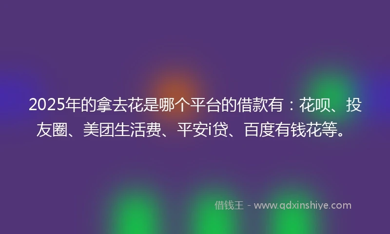 2025年的拿去花是哪个平台的借款有：花呗、投友圈、美团生活费、平安i贷、百度有钱花等。