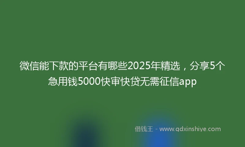 微信能下款的平台有哪些2025年精选，分享5个急用钱5000快审快贷无需征信app