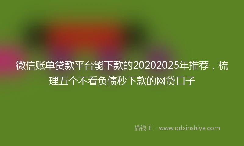 微信账单贷款平台能下款的20202025年推荐，梳理五个不看负债秒下款的网贷口子