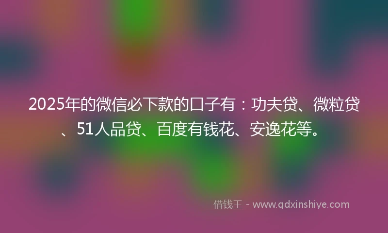 2025年的微信必下款的口子有：功夫贷、微粒贷、51人品贷、百度有钱花、安逸花等。