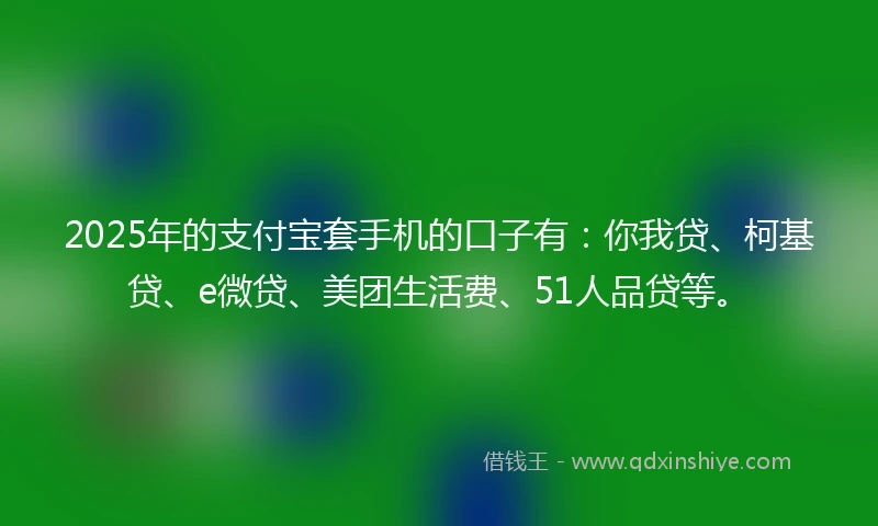 2025年的支付宝套手机的口子有：你我贷、柯基贷、e微贷、美团生活费、51人品贷等。