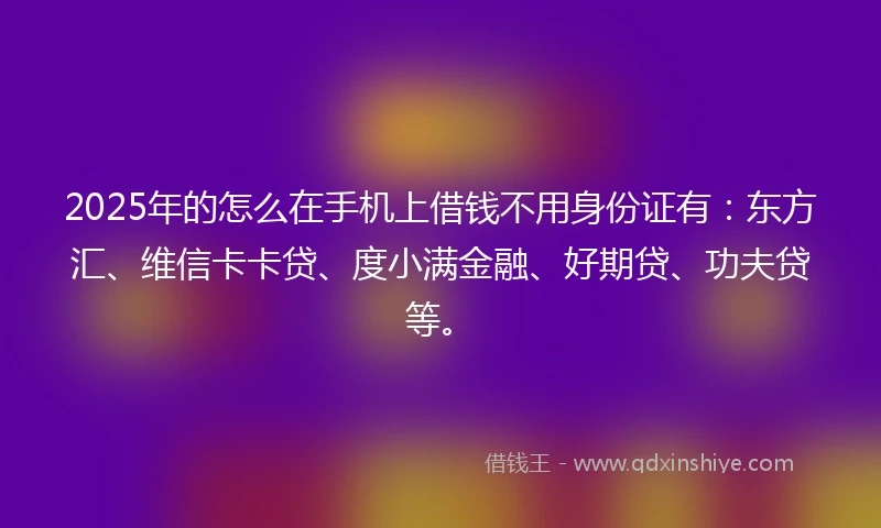 2025年的怎么在手机上借钱不用身份证有：东方汇、维信卡卡贷、度小满金融、好期贷、功夫贷等。